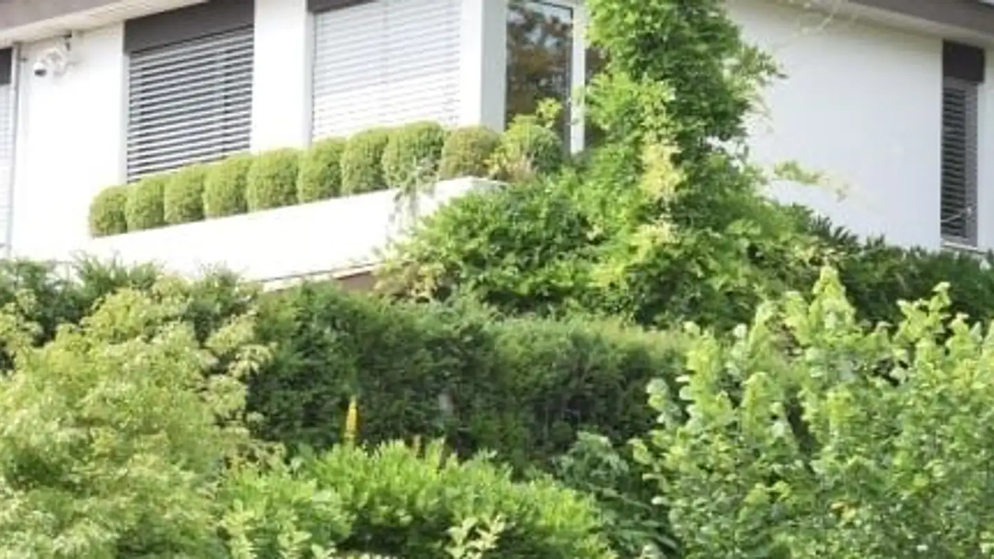 Casa singola in affitto - Hubring 37, 8303 Bassersdorf