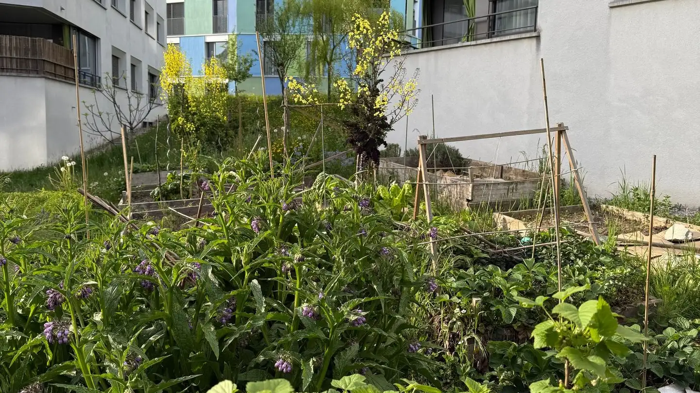 Attic flat for rent - Chemin De Bérée, 1010 Lausanne - Photo 4