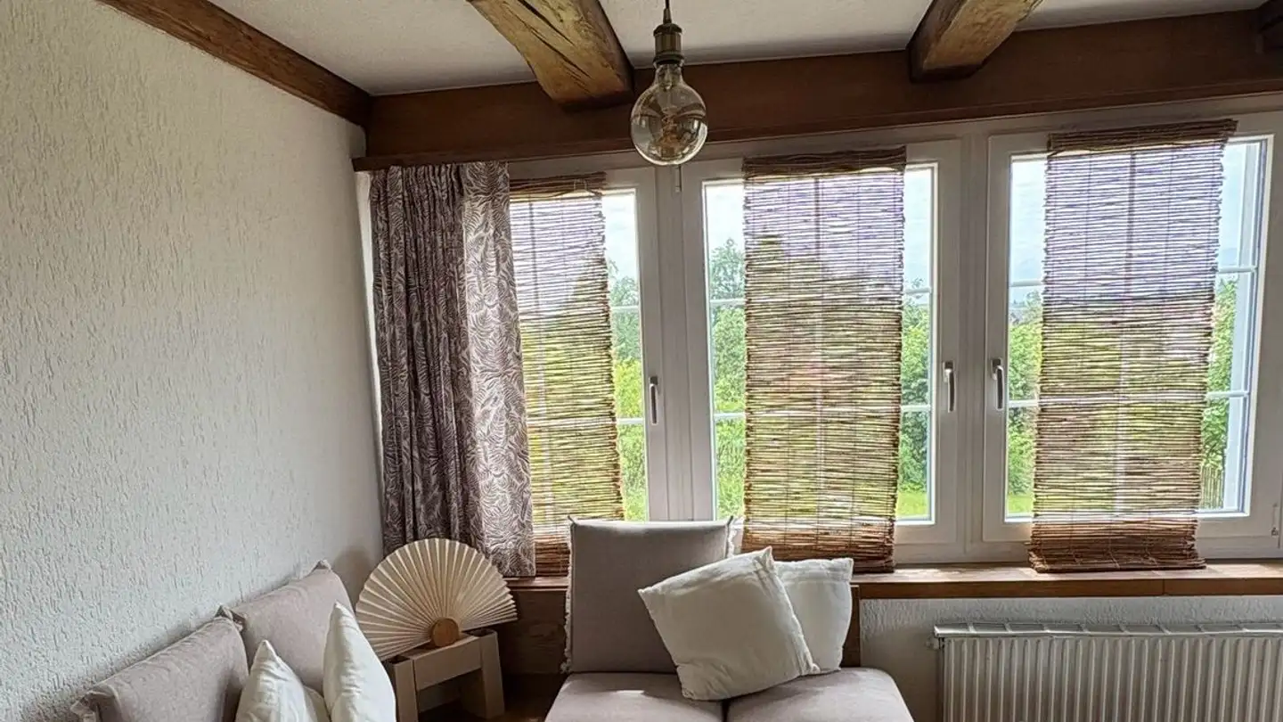 Appartement à louer - 8606 Nänikon
