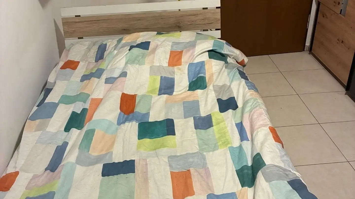 Apartment for rent - Neftenbacherstrasse 2, 8408 Winterthur - Photo 2