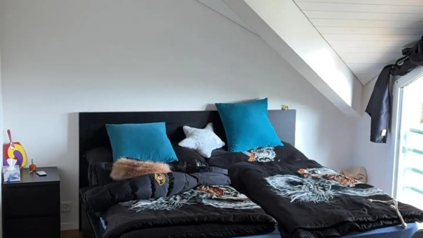 Appartamento in affitto - Chemin De La Villaire 3, 1040 Echallens