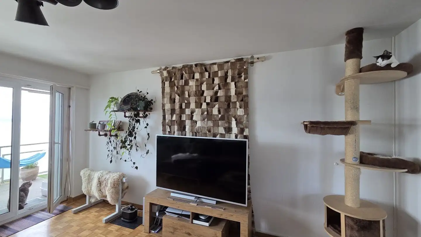 Wohnung mieten - 8805 Richterswil - Foto 4