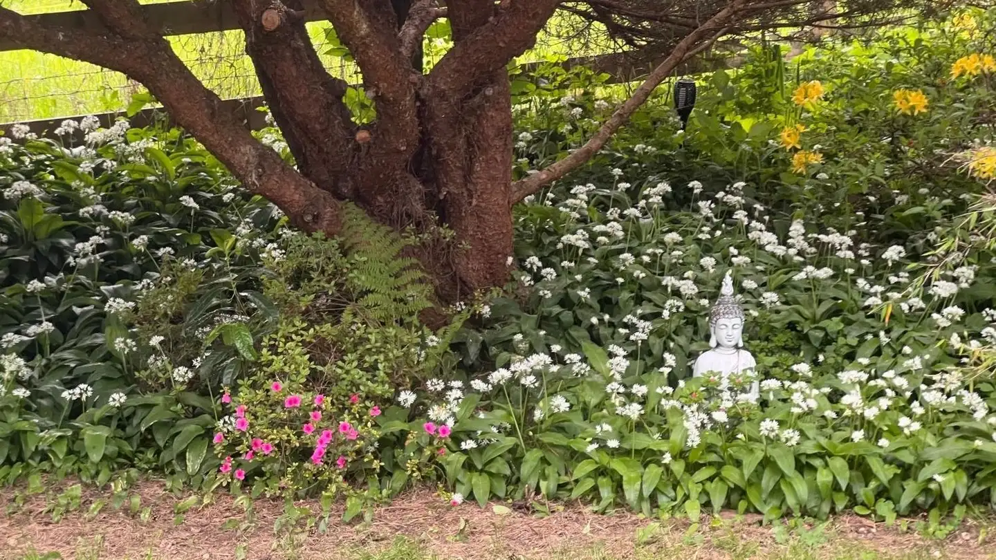 Wohnung mieten - Bodenweg, 3714 Frutigen - Foto 2