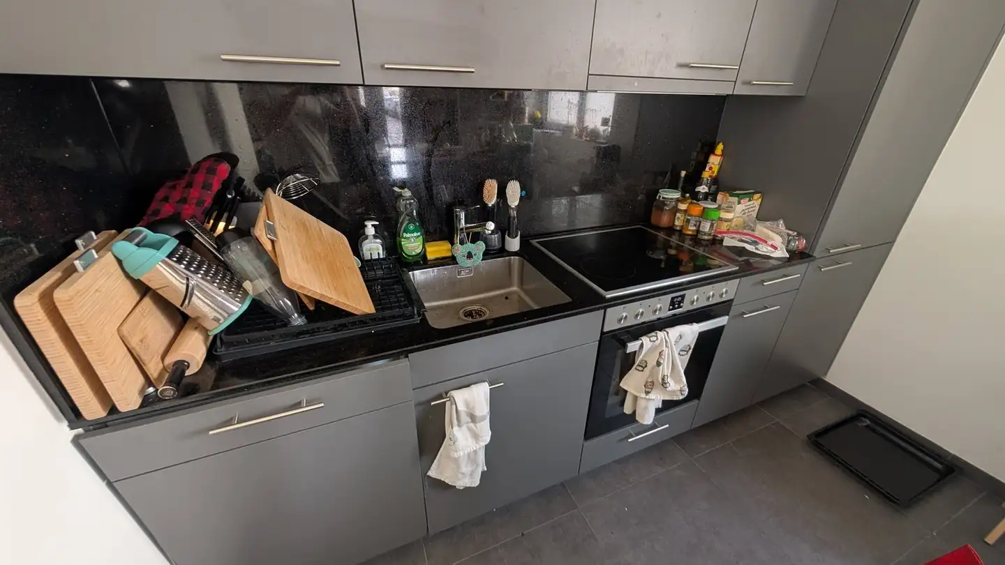 Apartment for rent - Agnesstrasse 25, 8004 Zürich - Photo 4