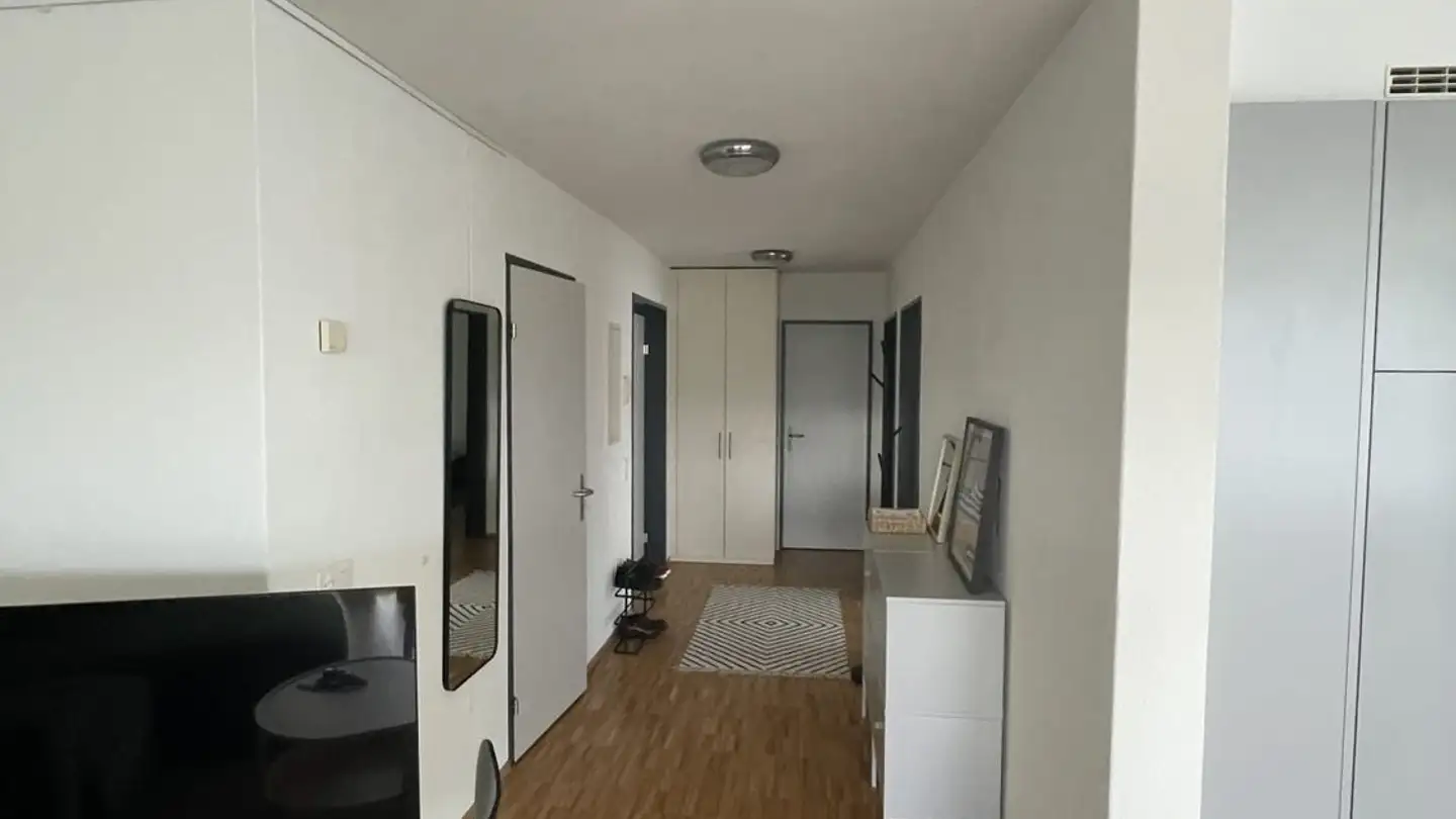 Appartamento in affitto - Frauenfelderstrasse 75, 8404 Winterthur - Foto 2