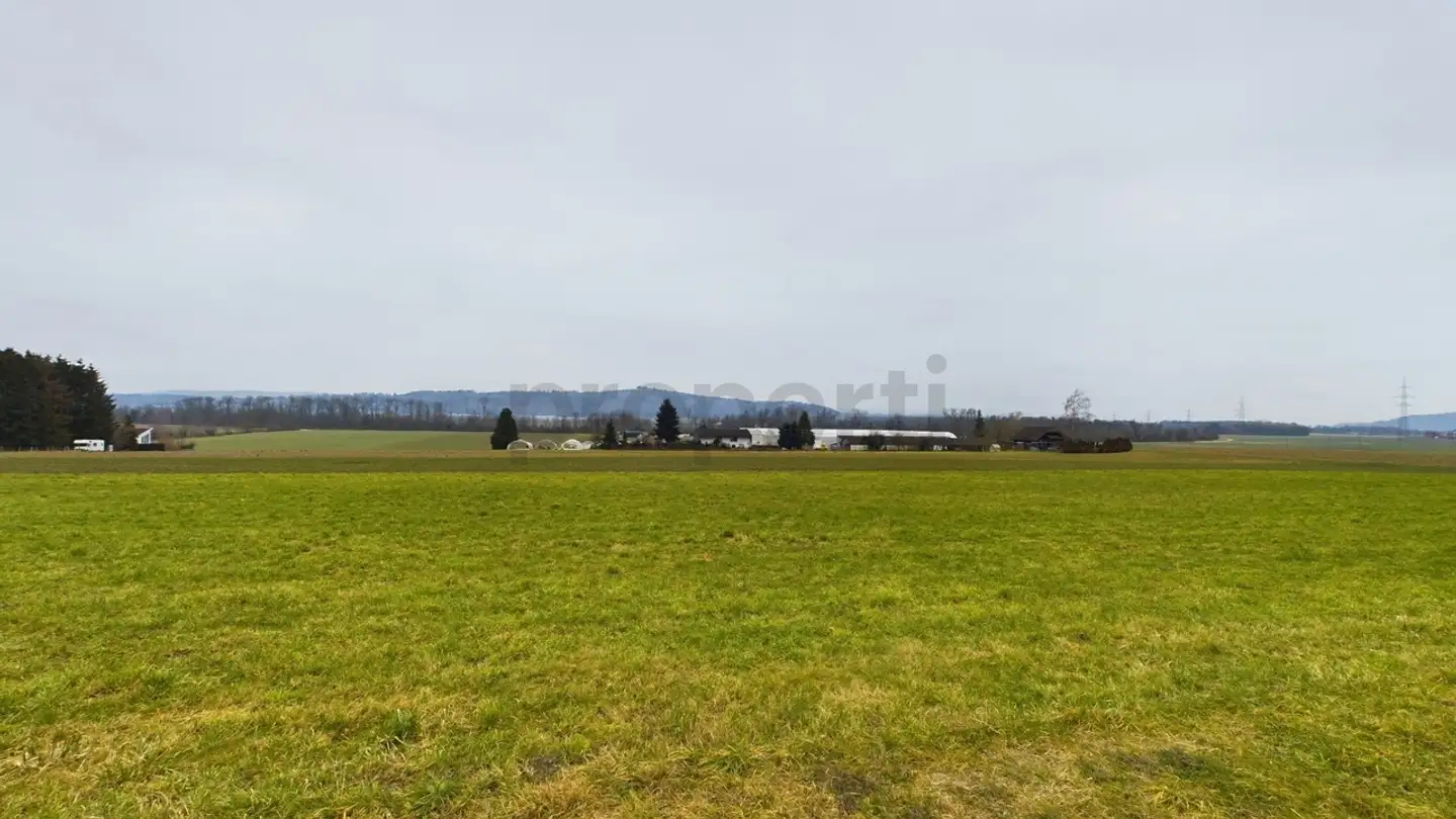 Constructible plot for sale - 2554 Meinisberg