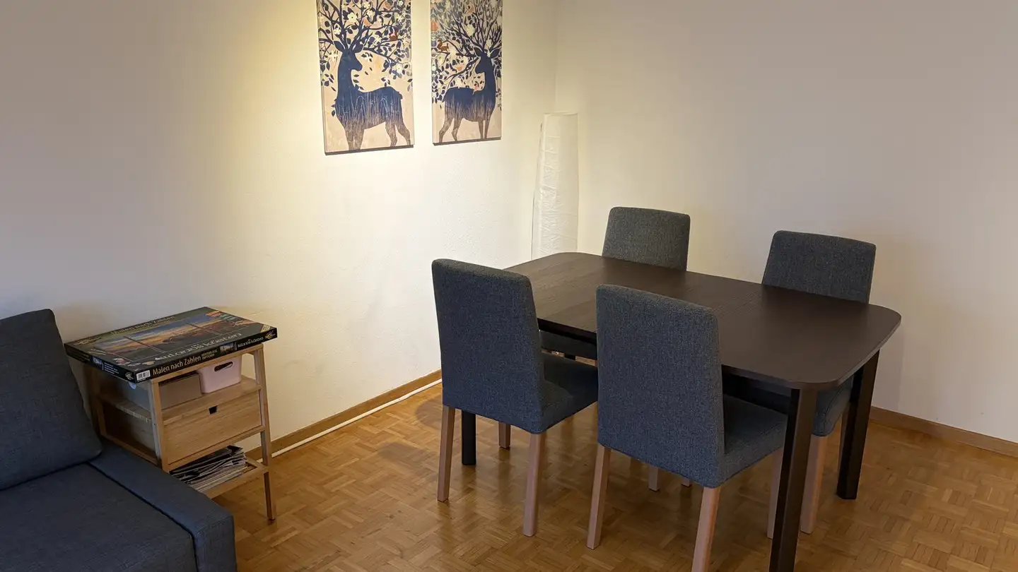 Appartamento in affitto - Feldhofstrasse 4, 8610 Uster - Foto 3