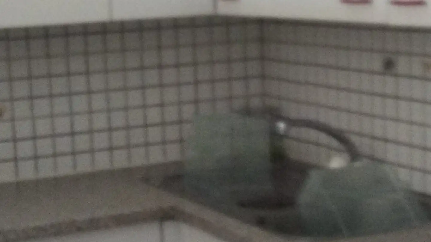 Appartement à louer - 6900 Lugano