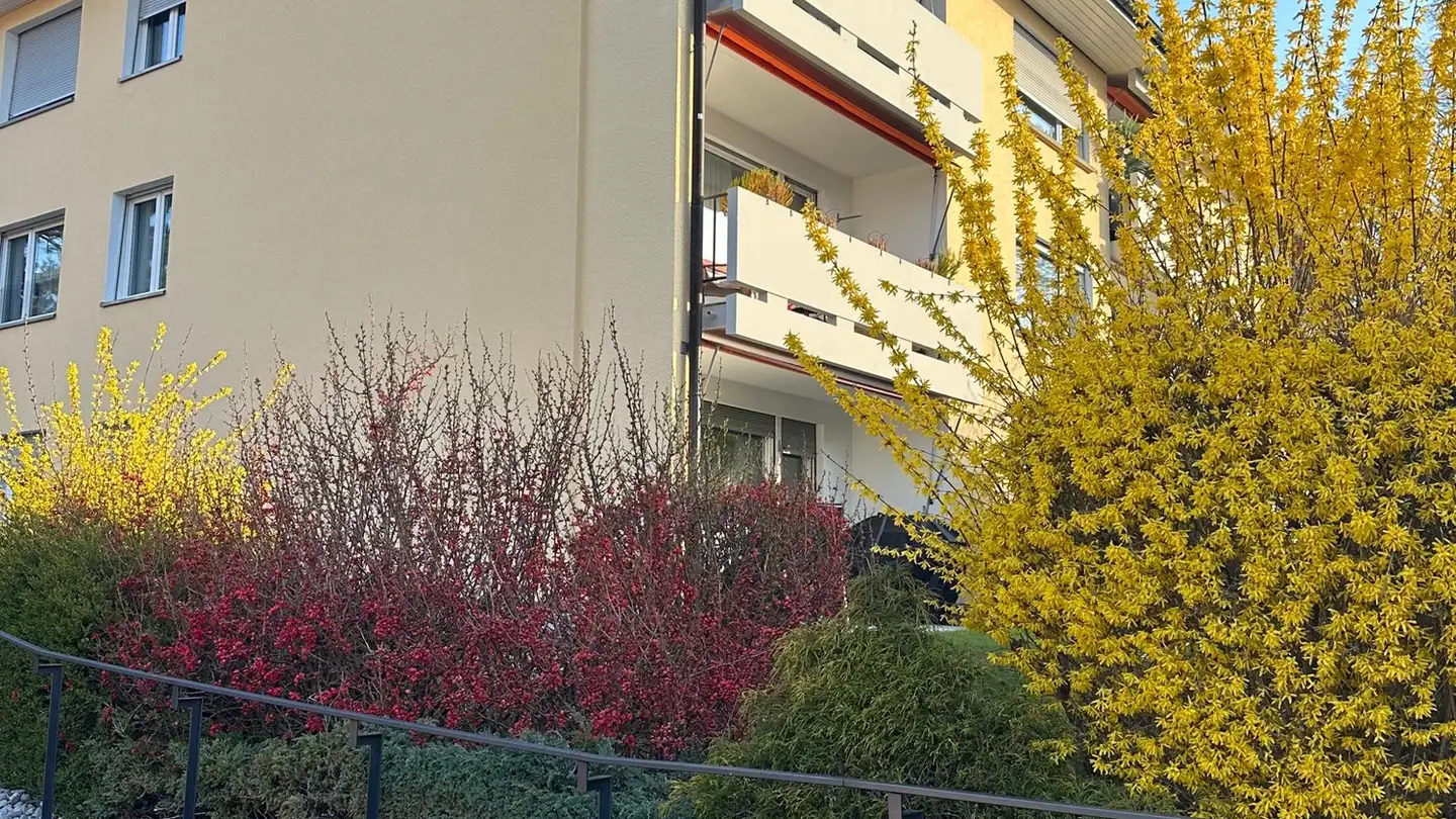 Appartement à louer - 8604 Volketswil