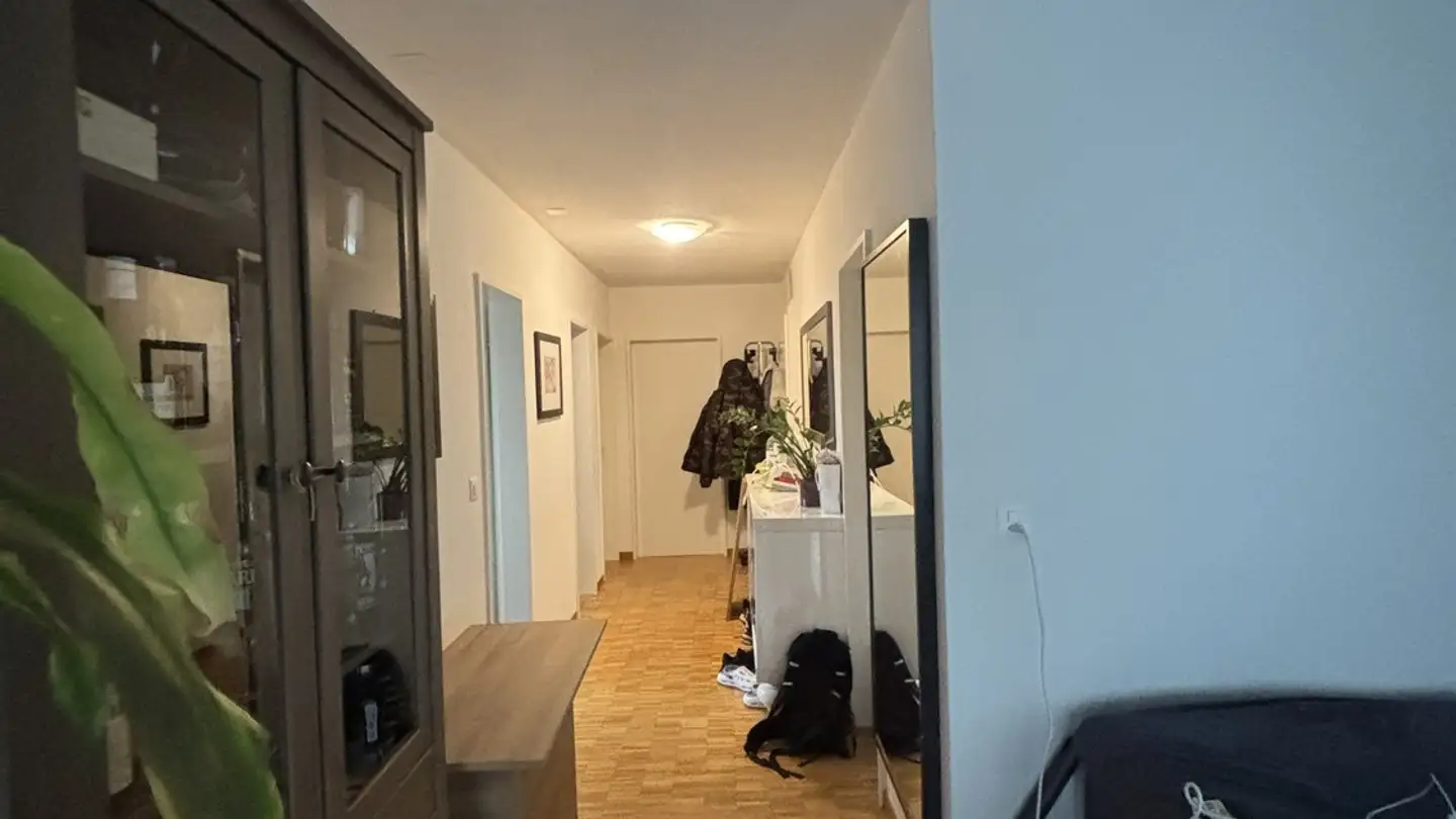 Stanza singola in affitto - 8041 Zürich