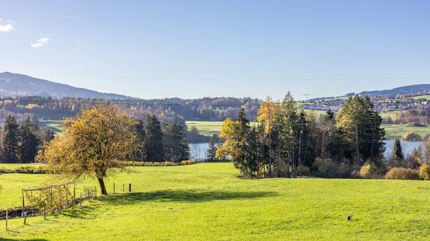 Appartement à vendre - Route De Botterens 105, 1652 Botterens