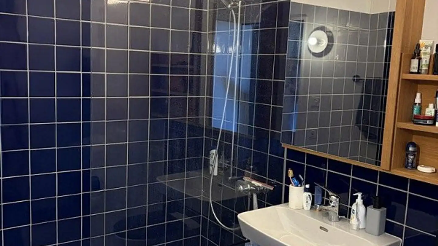 Wohnung mieten - Schauenbergstrasse 30, 8046 Zürich