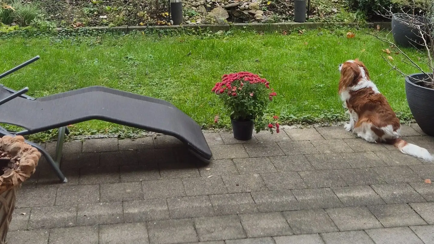 Single room for rent - 6005 St. Niklausen LU - Photo 4