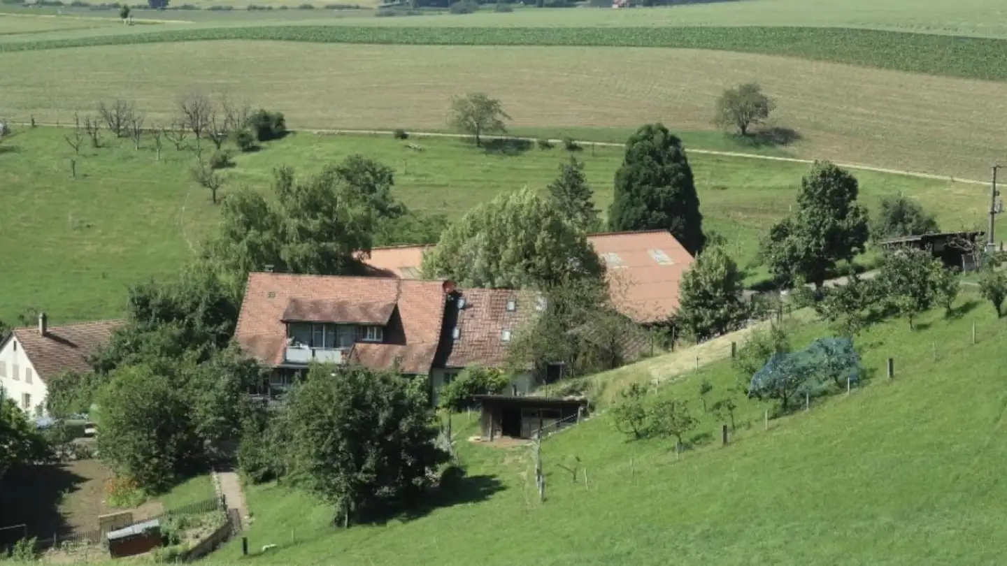 Fattoria in vendita - 4422 Arisdorf - Foto 3
