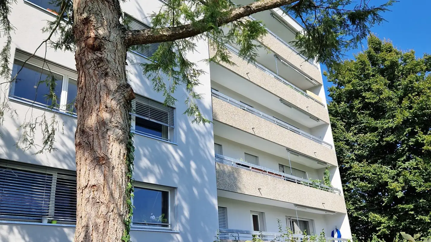 Studio for rent - Kornfeldstrasse 9, 4528 Zuchwil - Photo 2