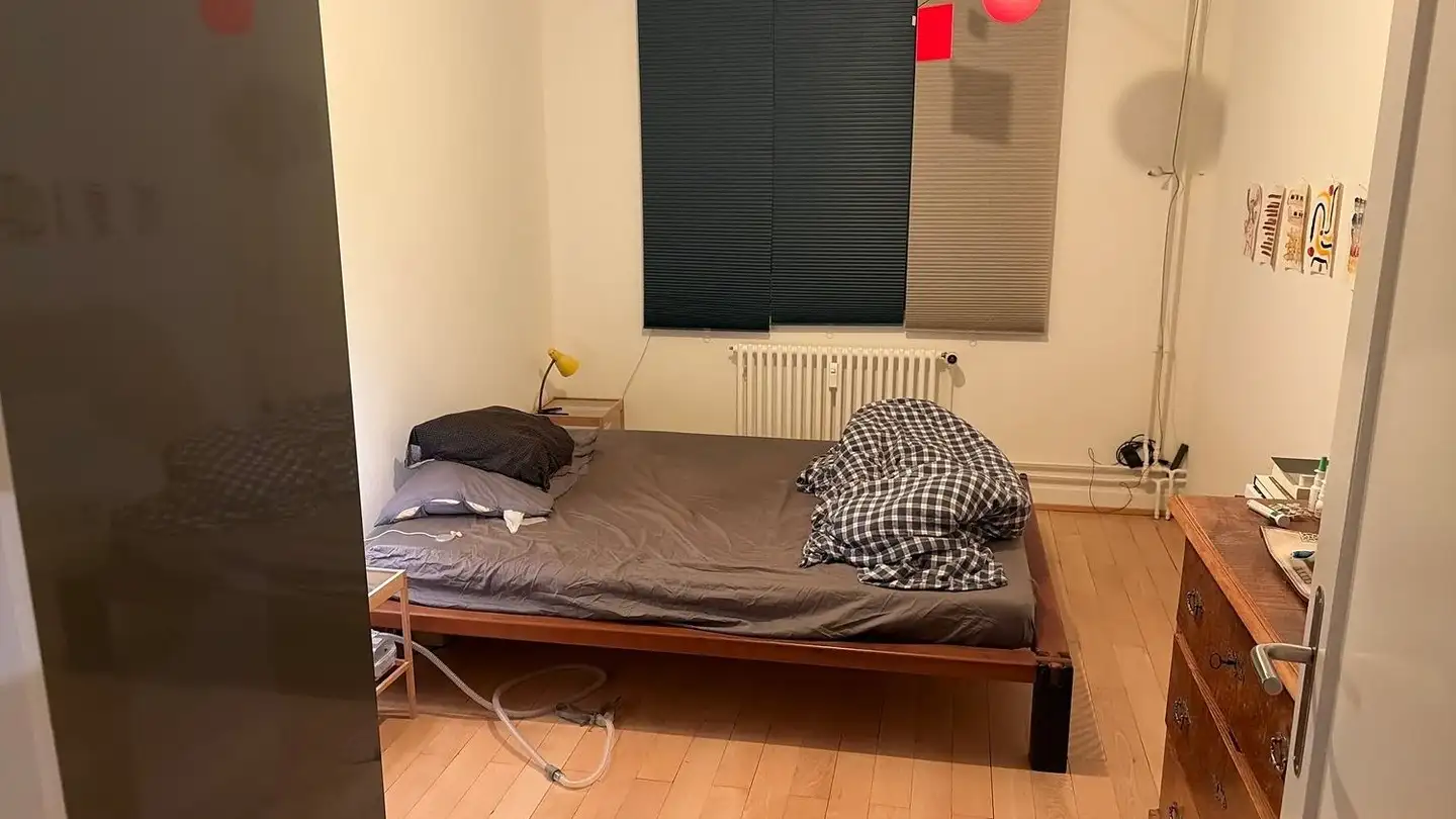 Appartement à louer - In Den Ziegelhöfen 153, 4054 Basel - Photo 4