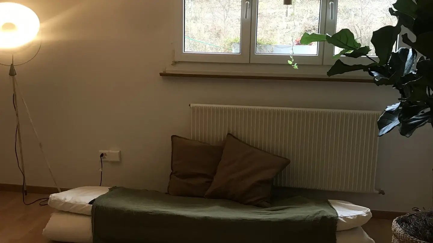 Chambre à louer - Près-Du-Bois / Am Wald 40, 2504 Biel/Bienne - Photo 4