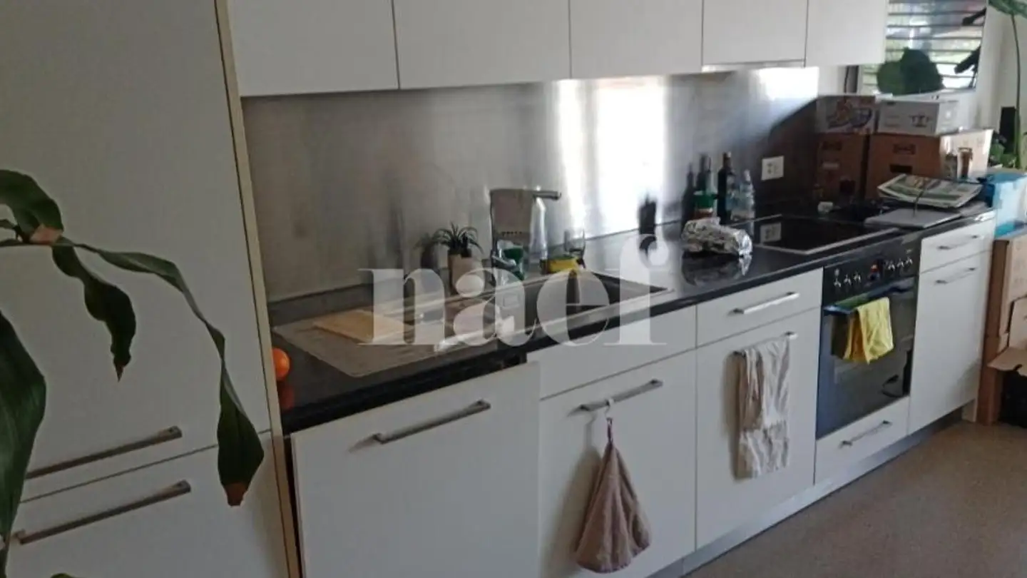 Wohnung mieten - Avenue du Clos d'Asper 3, 1170 Aubonne - Foto 3