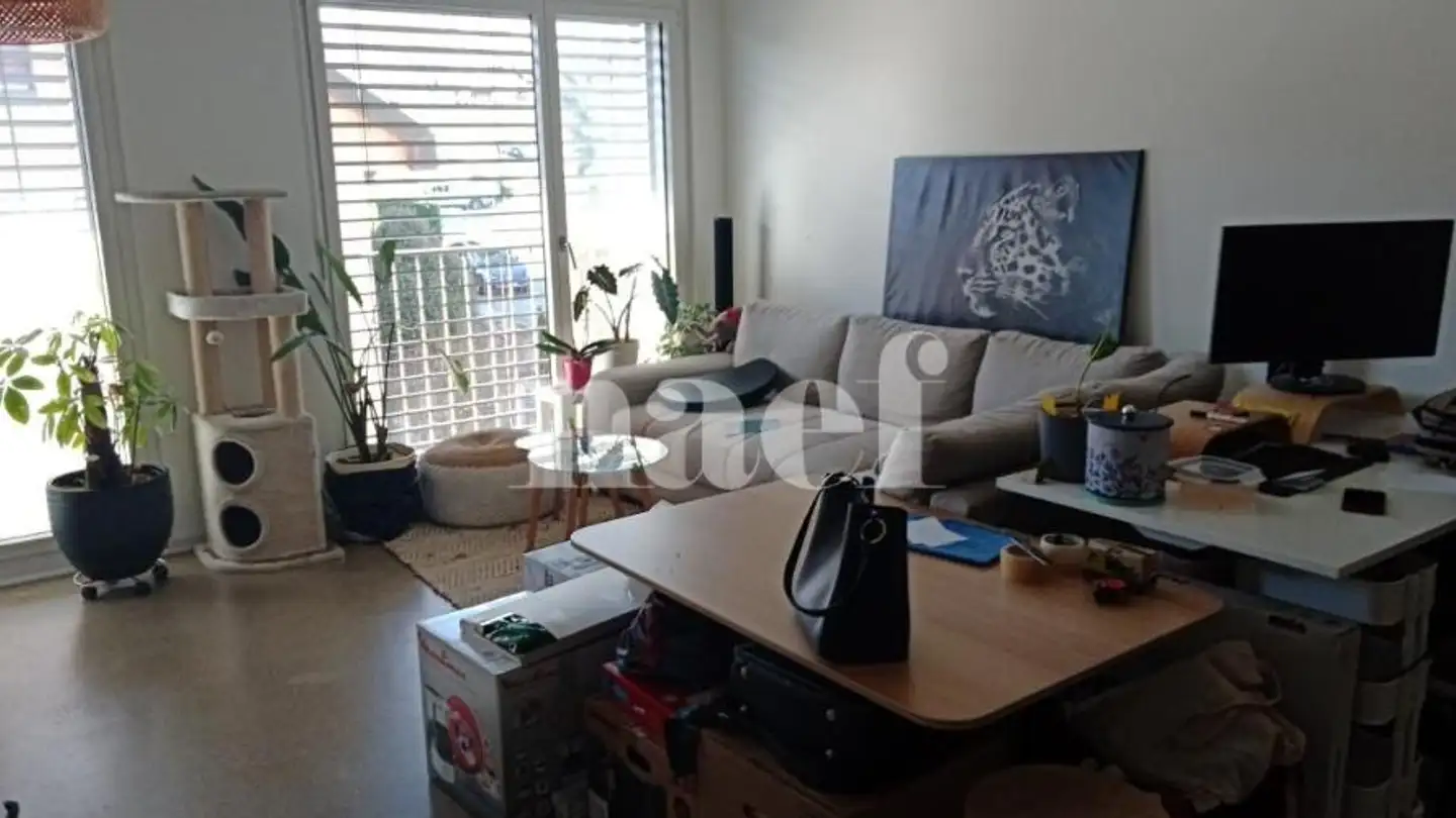 Wohnung mieten - Avenue du Clos d'Asper 3, 1170 Aubonne - Foto 4