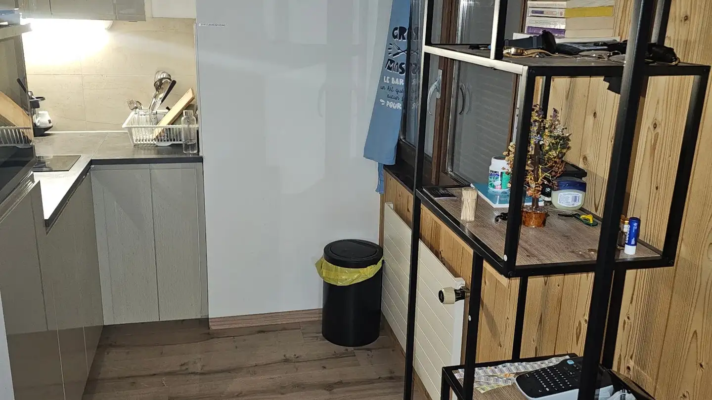 Appartamento in affitto - Chemin De L'ermitage 18, 1619 Les Paccots - Foto 4