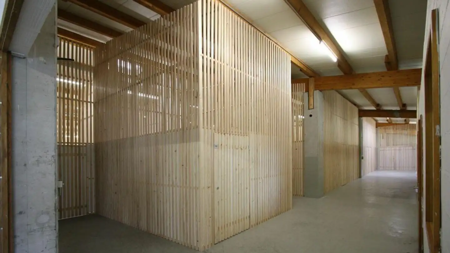 Lagerraum mieten - Fännring 4, 6403 Küssnacht am Rigi - Foto 2