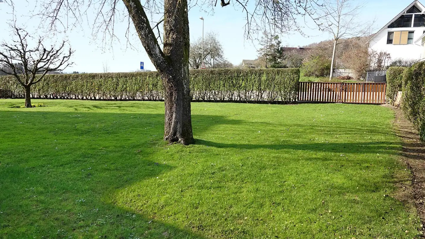 Terreno edificabile in vendita - Baumgarten, 8914 Aeugstertal - Photo 2