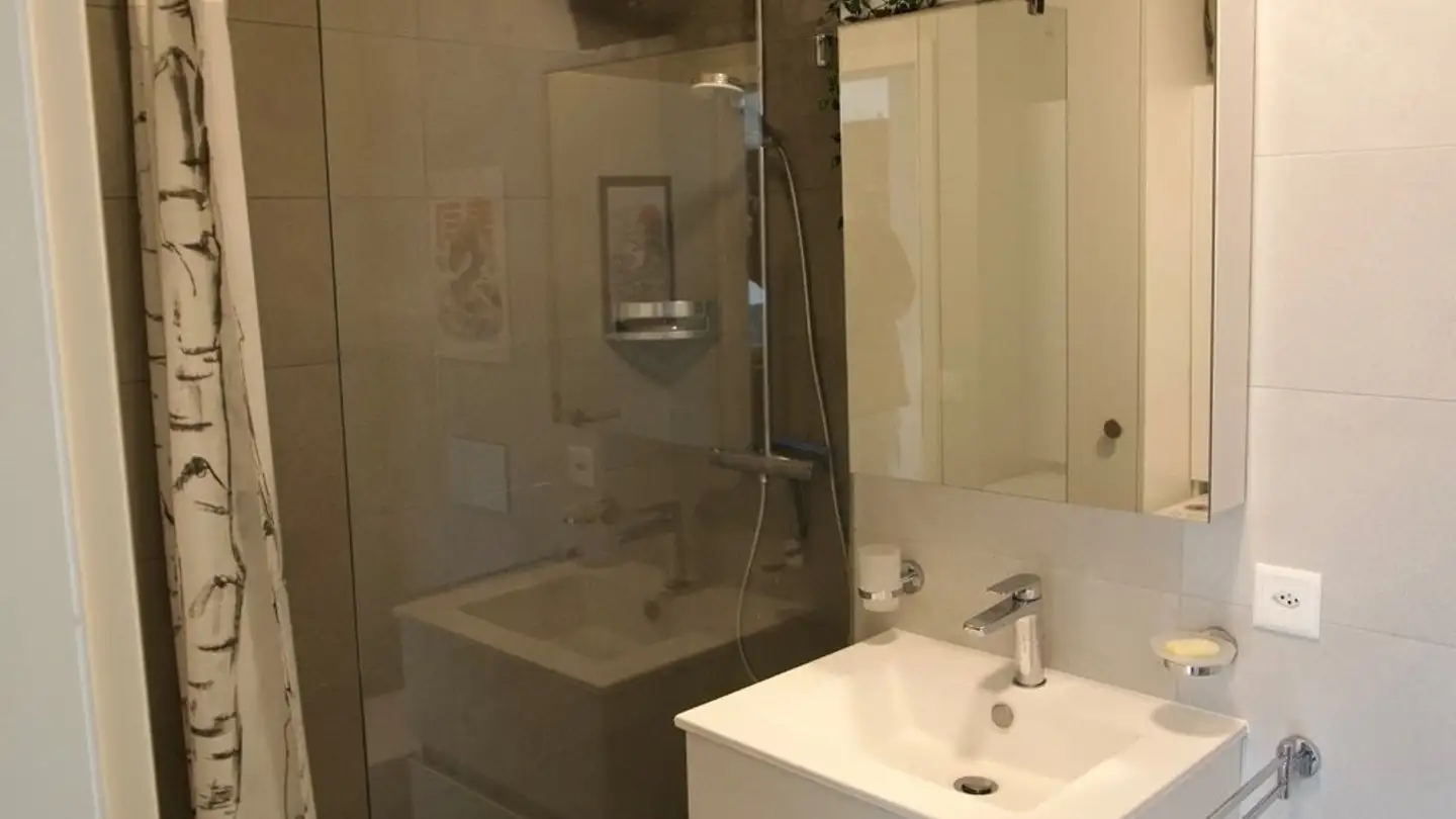 Appartement à louer - 1228 Plan-les-Ouates - Photo 4