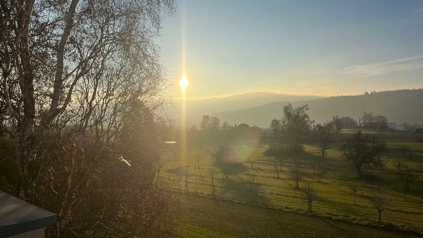Appartement à louer - Büsingerstrasse 12, 8203 Schaffhausen - Photo 3