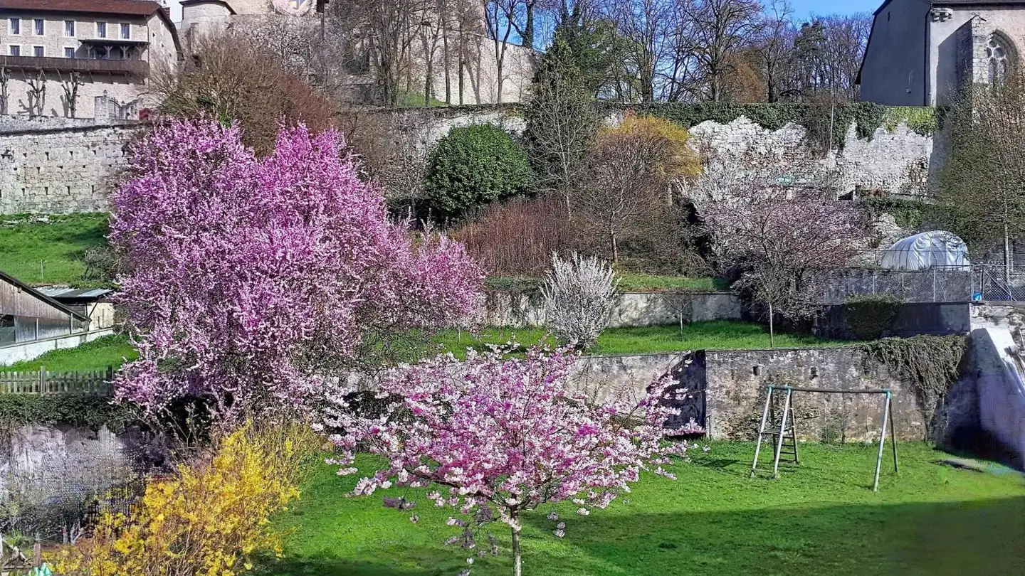 Single house for sale - 1522 Lucens - Photo 2