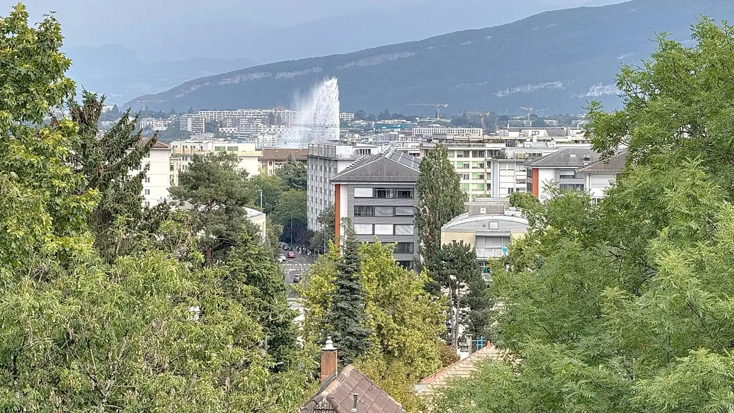 Apartment for rent - Rue De Moillebeau 42b, 1209 Genève