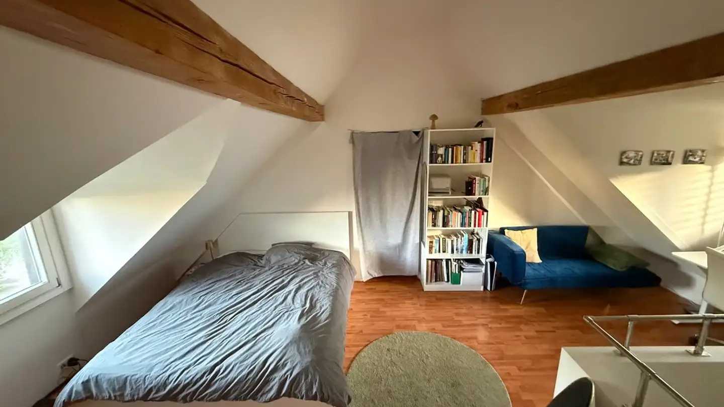 Single room for rent - Vorhaldenstrasse 39, 8049 Zürich - Photo 3
