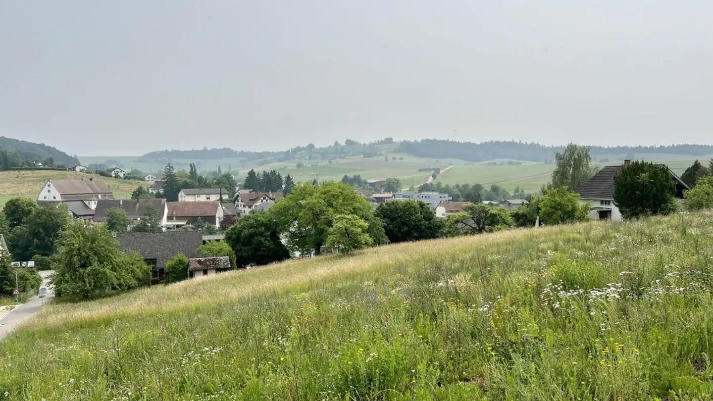 Einfamilienhaus kaufen - Hölderlistrasse 2, 8226 Schleitheim