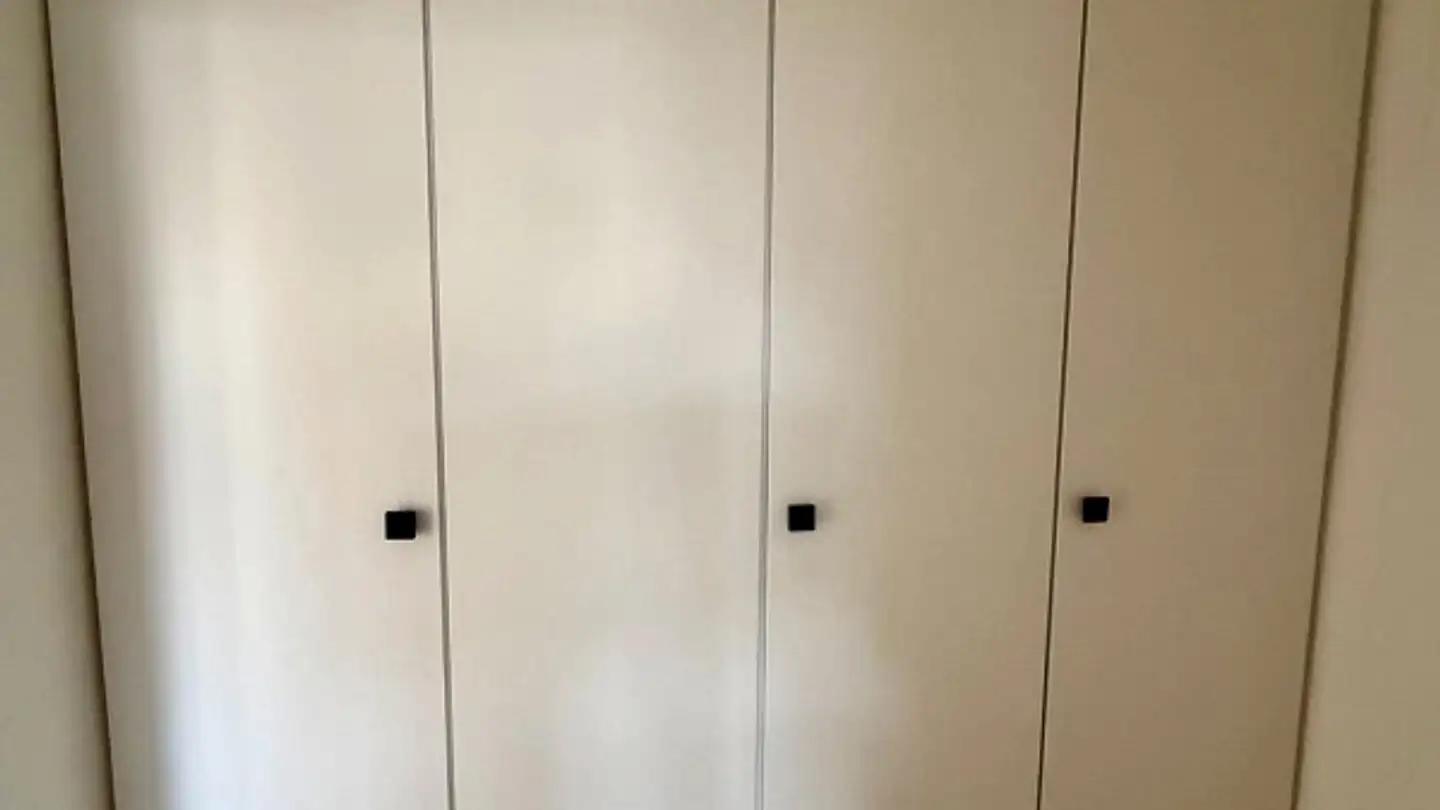 Appartamento in affitto - Schaufelbergerstrasse 57, 8055 Zürich - Foto 2