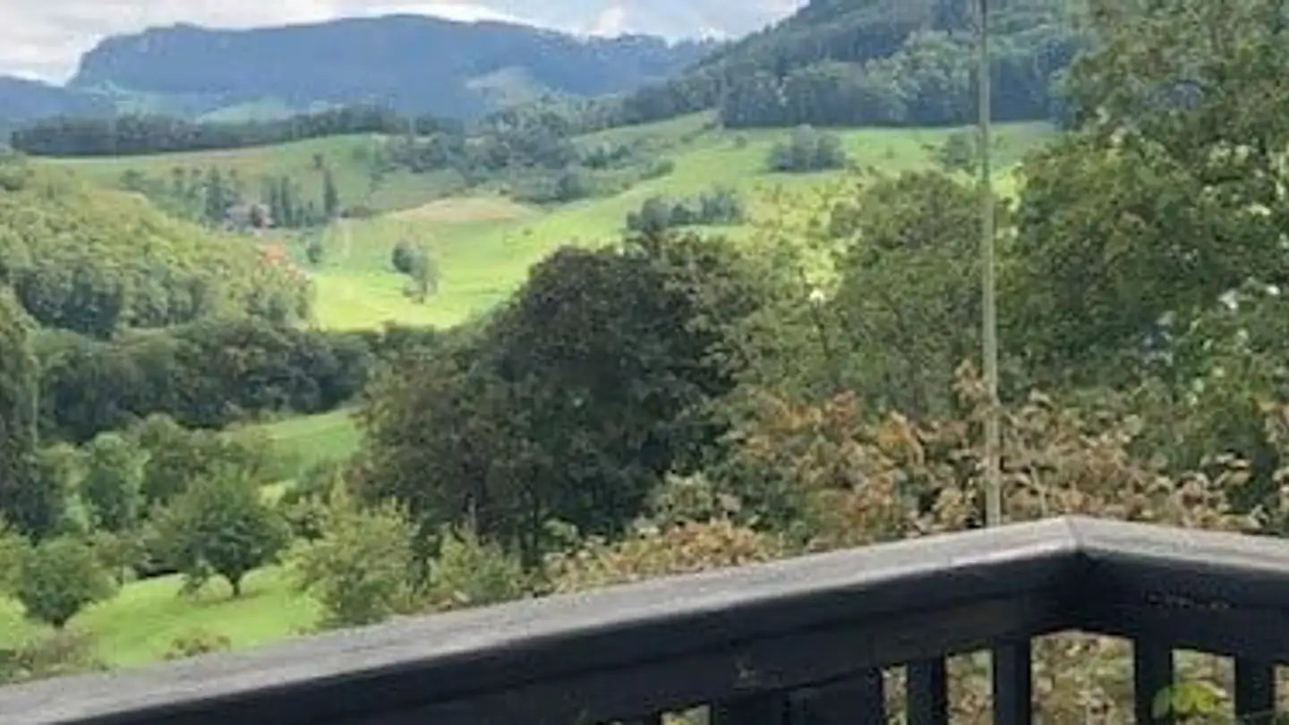 Mehrfamilienhaus kaufen - Ziefnerstrasse 25, 4424 Arboldswil - Foto 3