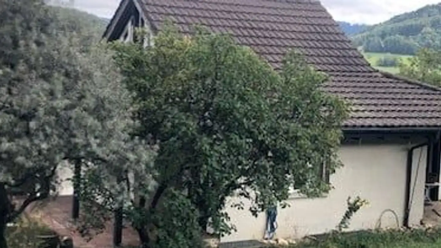 Mehrfamilienhaus kaufen - Ziefnerstrasse 25, 4424 Arboldswil - Foto 4