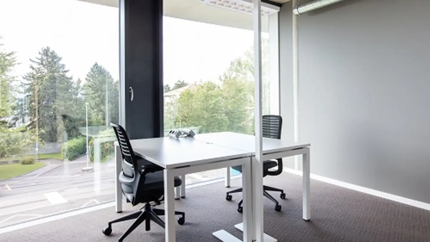 Commerciale in affitto - Chemin Du Vuasset 2, 1028 Préverenges - Foto 3