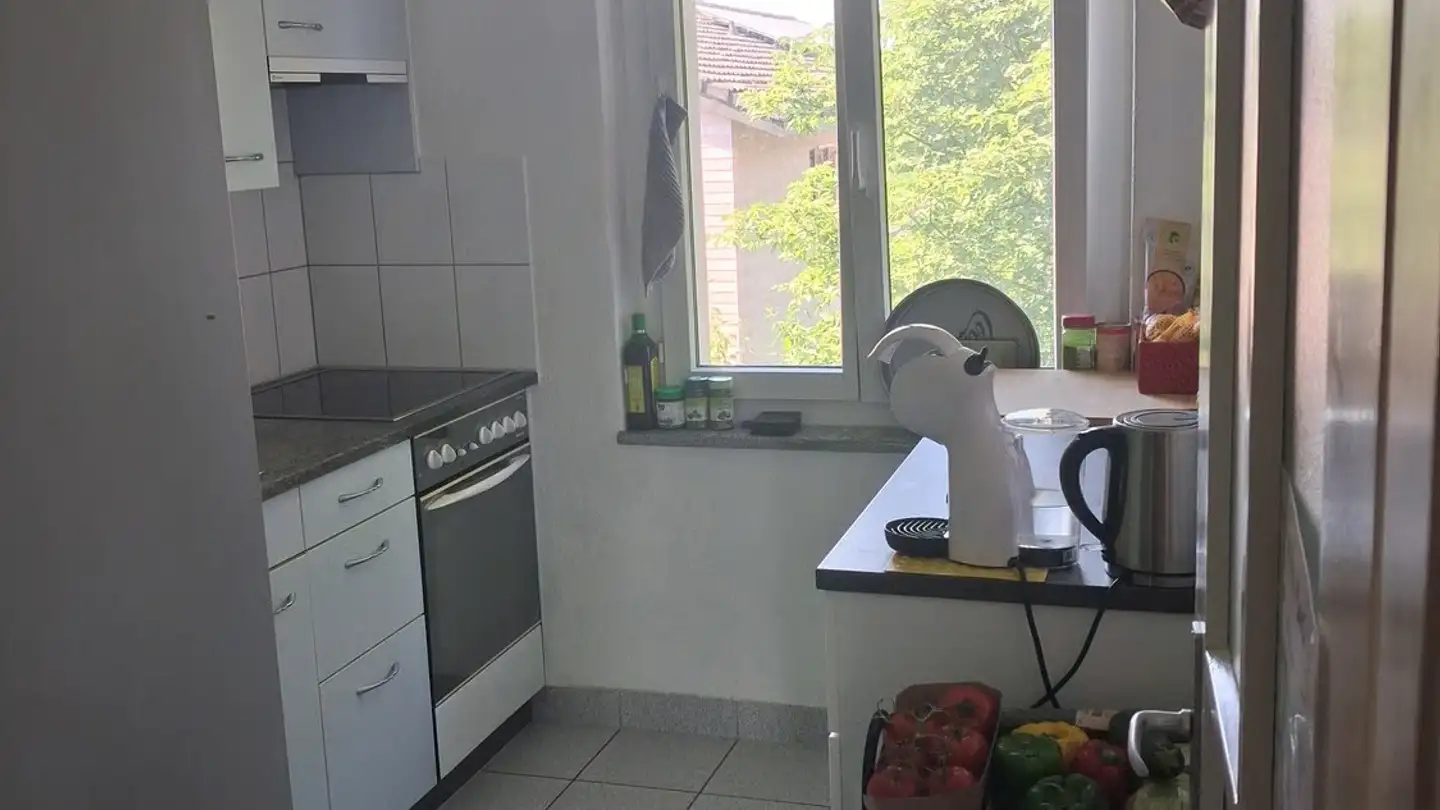 Appartement à louer - 8800 Thalwil - Photo 4