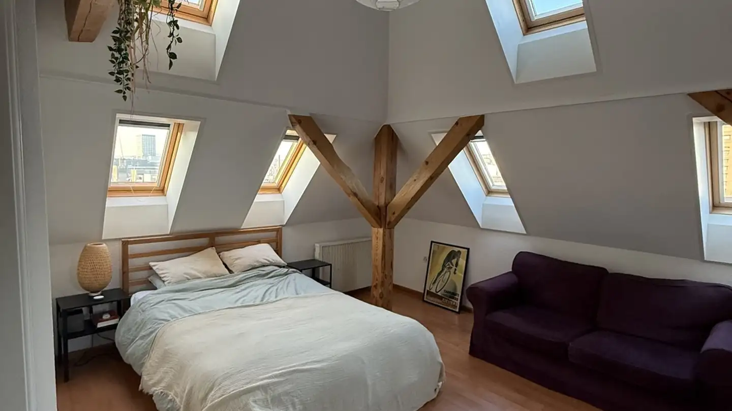 Chambre à louer - Badenerstrasse 384, 8004 Zürich