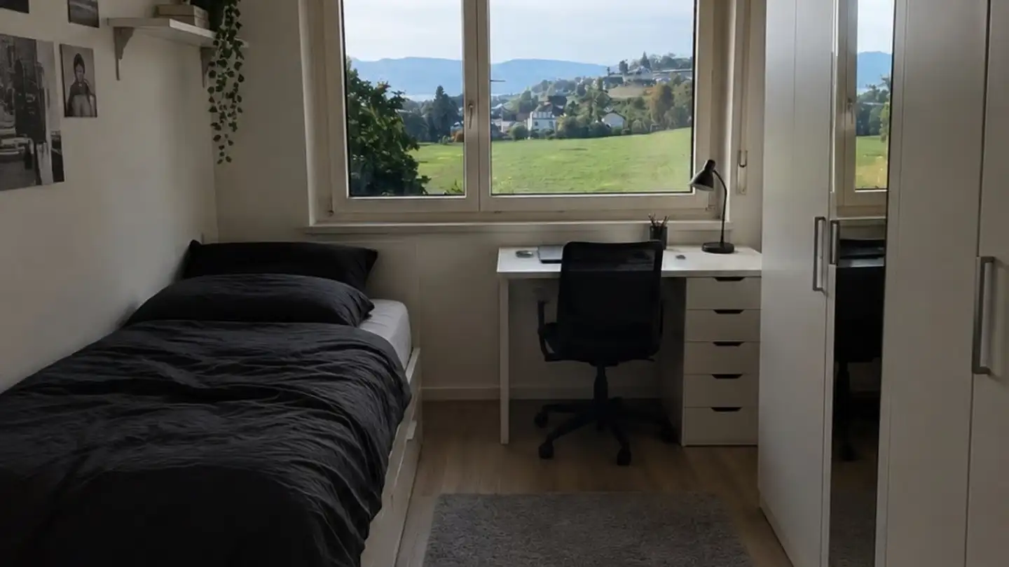 Furnished apartment for rent - 8707 Uetikon am See