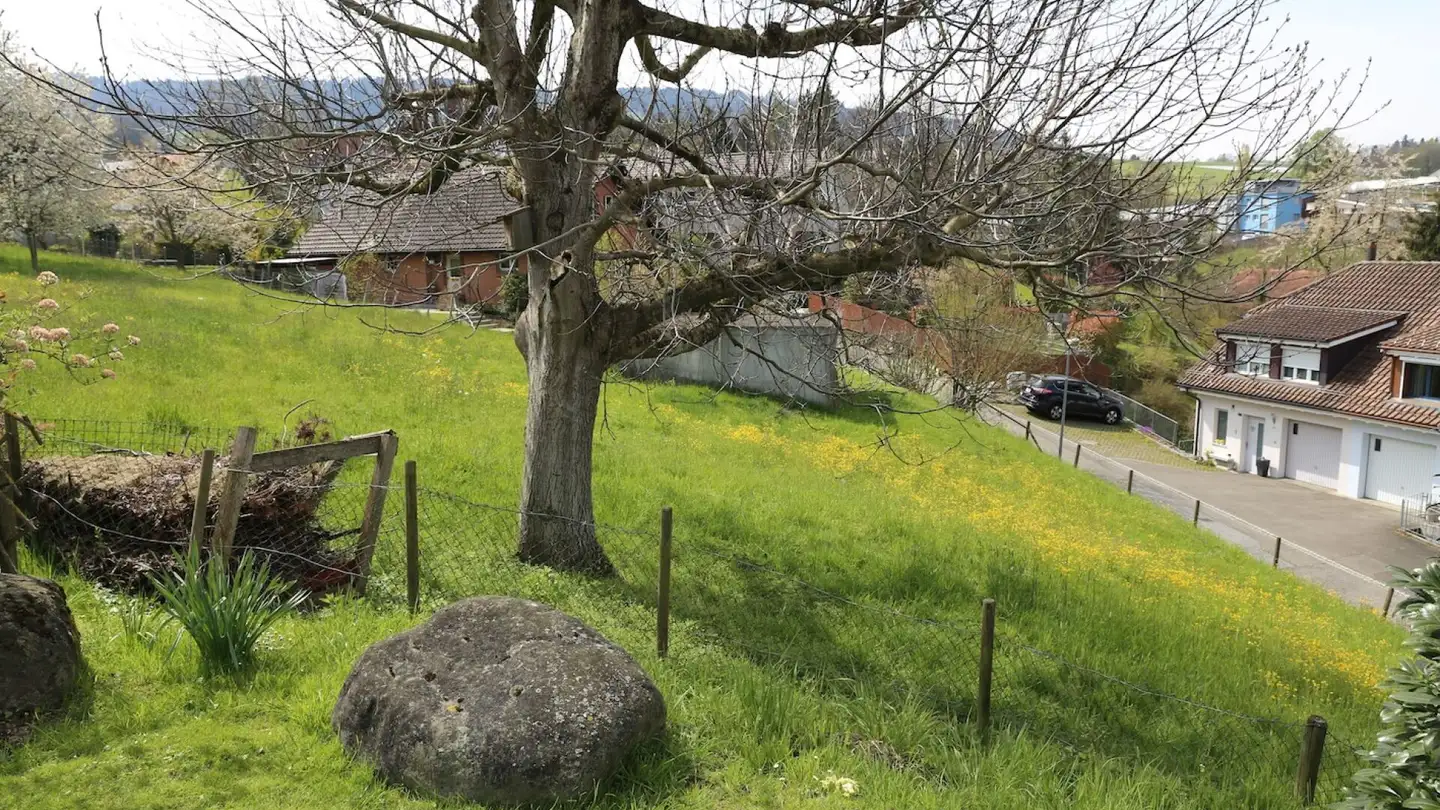 Constructible plot for sale - Hohrainstrasse 4, 9403 Goldach