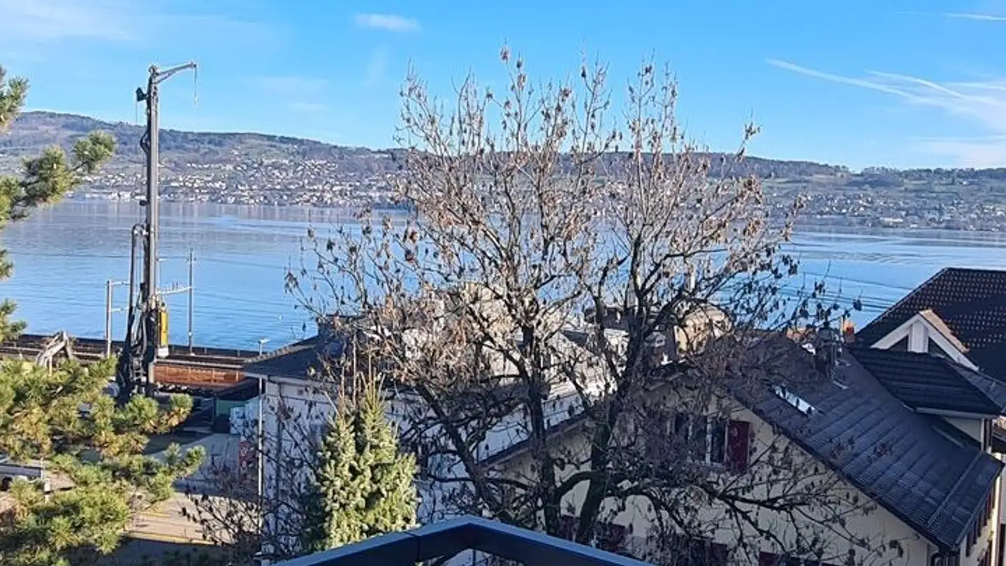 Duplex à louer - Reblaubenweg 4a, 8820 Wädenswil