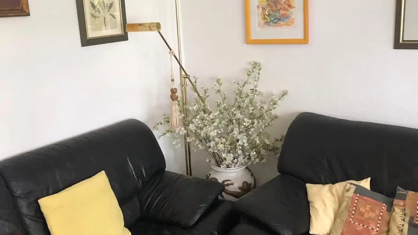 Möblierte Wohnung mieten - Maienzugstrasse, 5000 Aarau - Foto 3