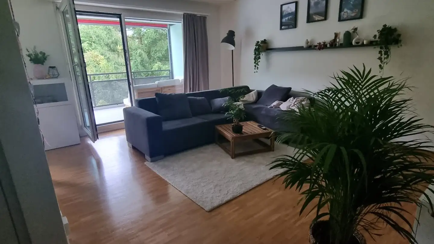 Wohnung mieten - 6006 Luzern