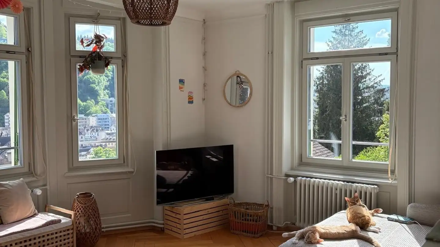 Appartamento in affitto - 6004 Luzern - Foto 2