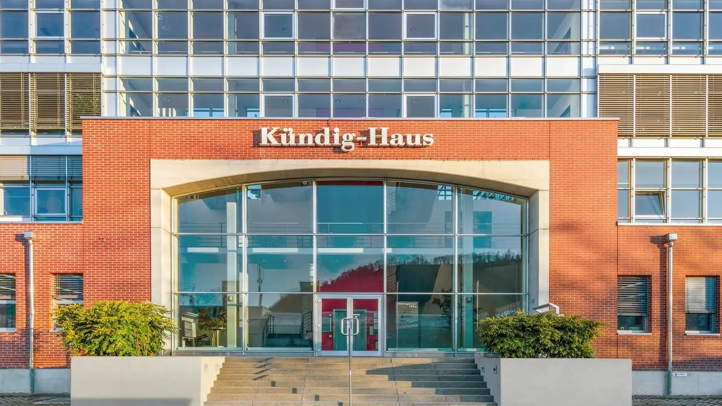 Grand magasin à louer - Sihlbruggstrasse 105a, 6340 Baar