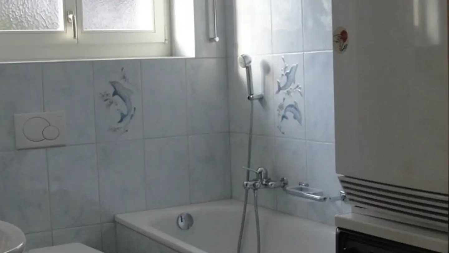 Wohnung mieten - 8486 Rikon im Tösstal - Foto 4