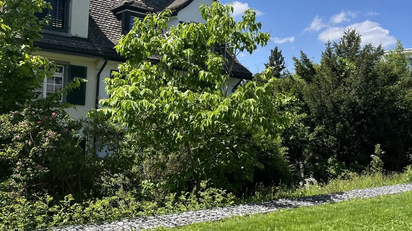 Appartamento in affitto - Südstrasse 106, 8008 Zürich - Foto 2
