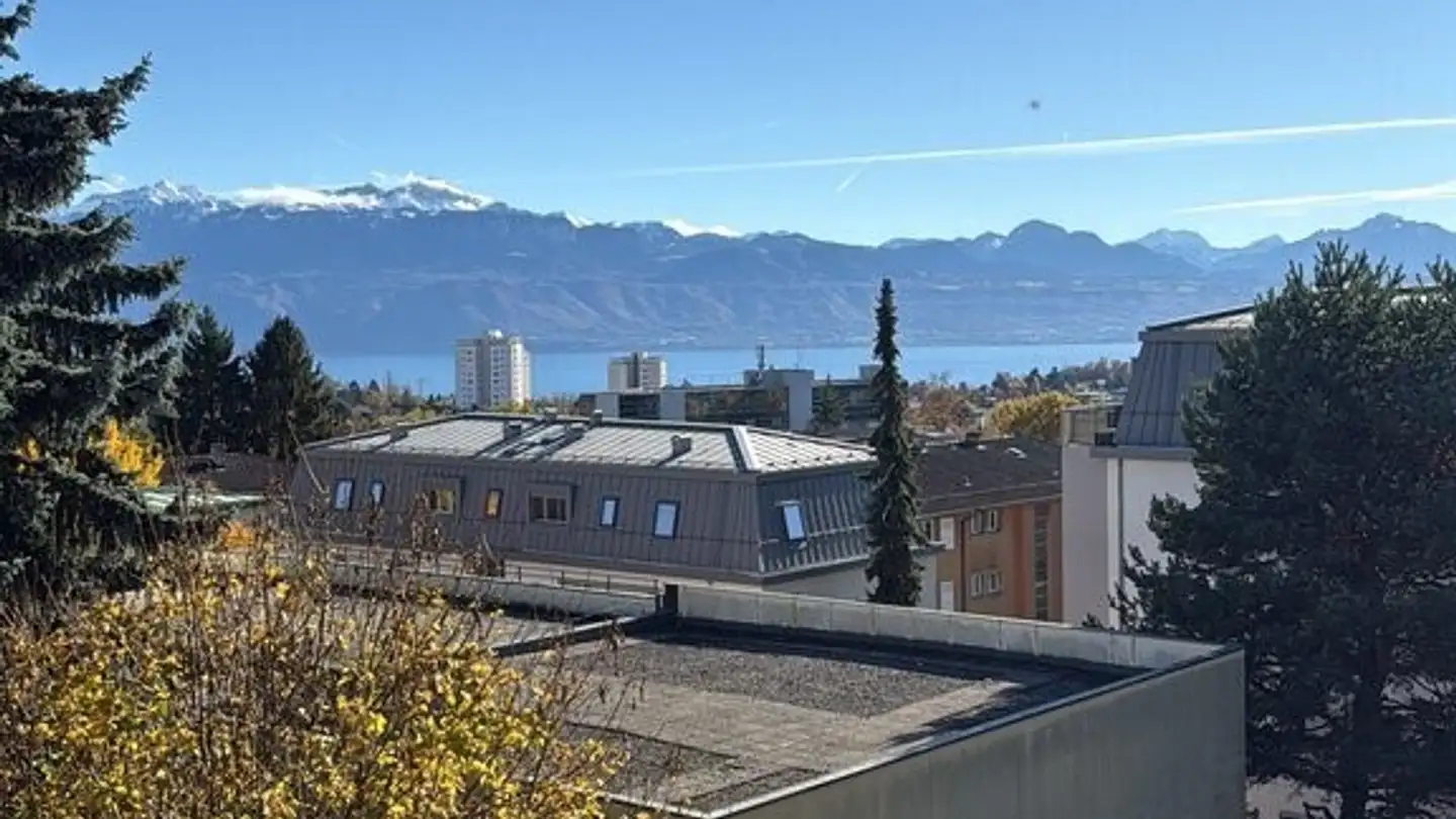 Appartamento in affitto - Route De Berne 24, 1010 Lausanne - Photo 2