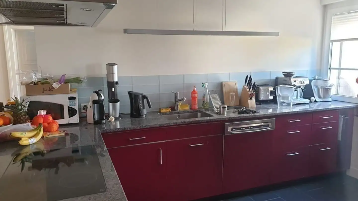 Chambre à louer - Lavaterstrasse 90, 8002 Zürich - Photo 2