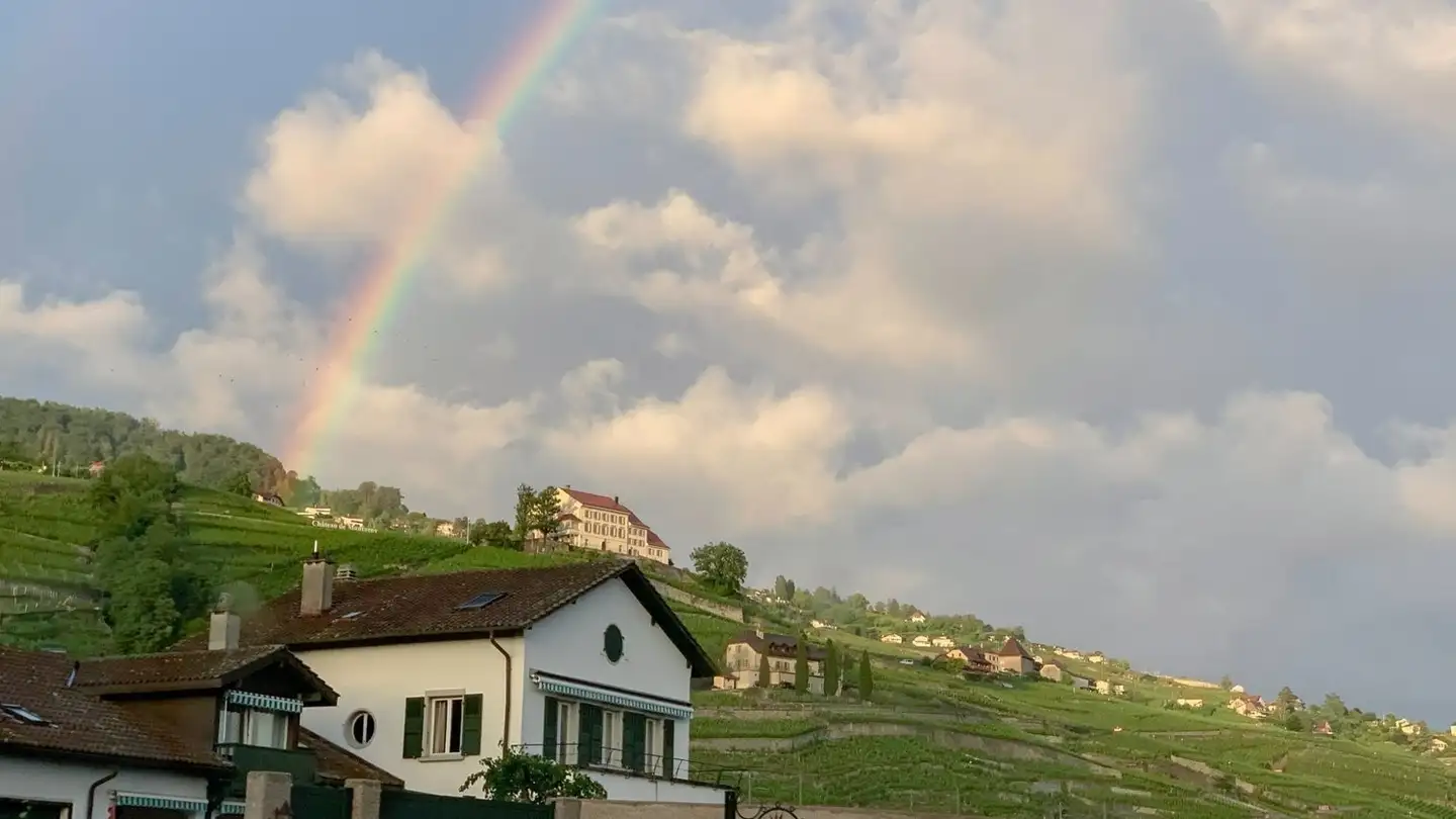 Apartment for rent - Route De Lavaux 349, 1095 Lutry - Photo 2